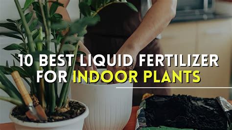 10 Best Liquid Fertilizers for Indoor Plants: Nourish Your Verdure Indoors