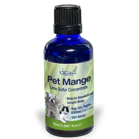 10 Best Mange Medicines for Cats: 2023 Guide