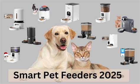 10 Best Smart Feeders in 2025: Ratings and Rankings