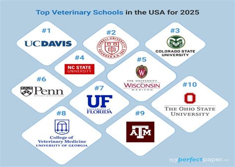 10 Best Vet Universities in the USA 2025: Closing the Gap