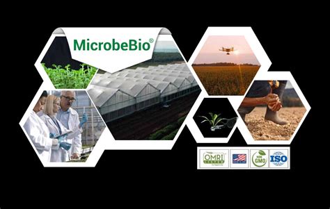 10 Bio Fertilizer Manufacturers Shaping the Future of Agriculture