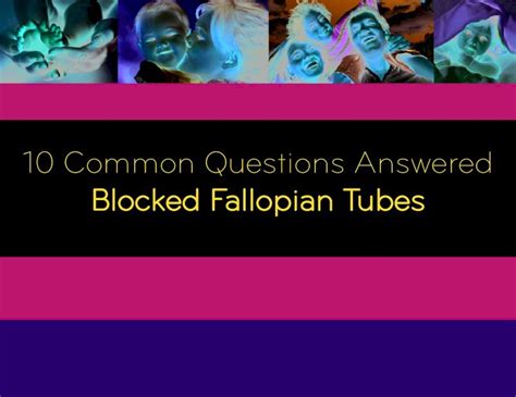 10 Common Questions Answered Blocked Fallopian Tubes PDF Doc