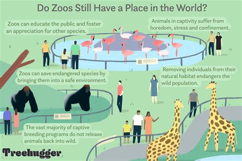 10 Convincing Arguments for Zoo Elimination Beyond Ethics