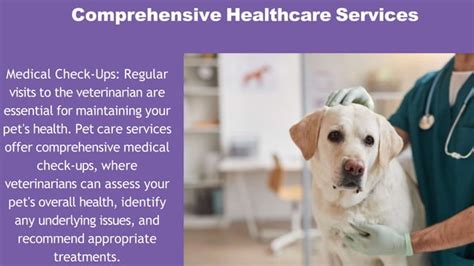 10 Essential Animal Care Services to Enhance Your Pet's Life