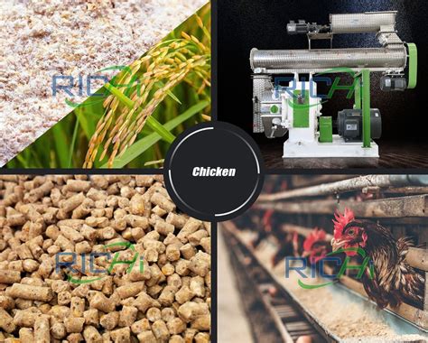 10 Essential Considerations for Chicken Pellet Making Machine Selection