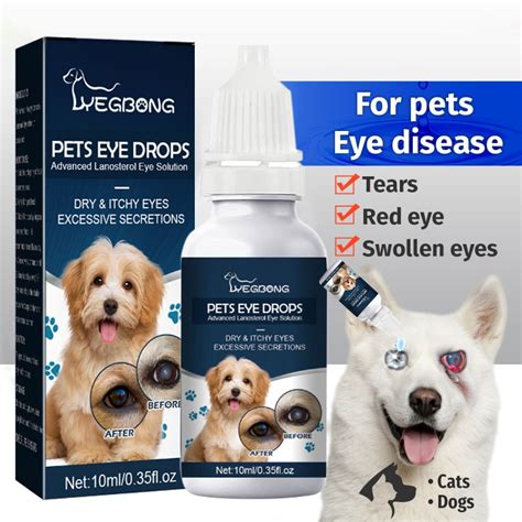 10 Essential Questions About Antibacterial Eye Drops for Dogs