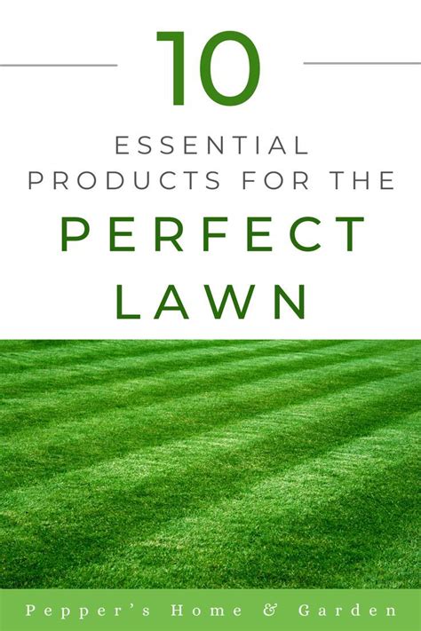 10 Essential Settings for Perfect Lawn Care