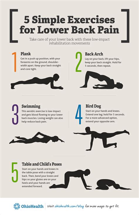 10 Essential Strategies to Combat Back Pain and Maintain Lumbar Spine Health