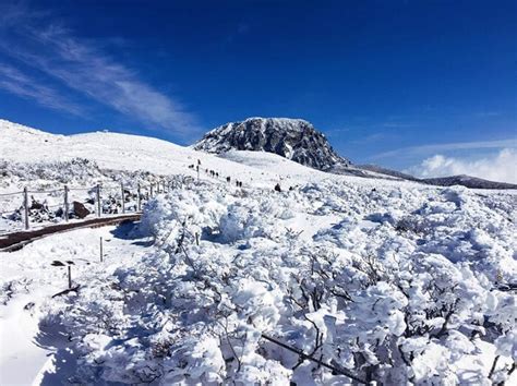 10 Exceptional Things to Do in Jeju in December 2025: A Guide to Winter Wonders