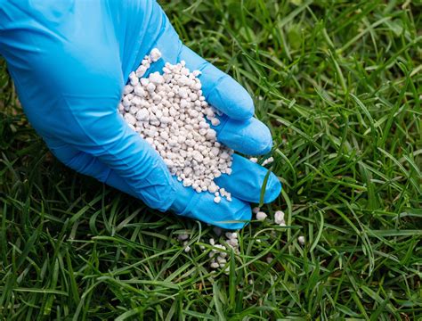 10 Fall Fertilizing Facts Every Home Lawn Needs to Know