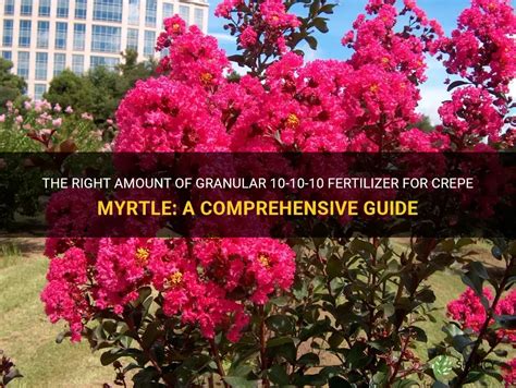 10 Fertilizer Tips for Crape Myrtle Trees: Maximizing Growth & Blooms