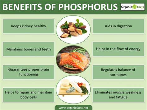 10 Incredible Benefits of Phosphorus Fertilizer for Your Crops