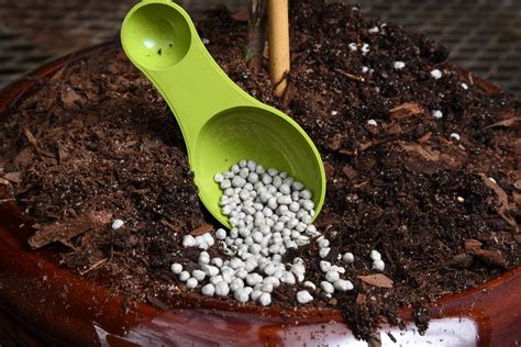 10 Incredible Uses for Fertilizer Pellets