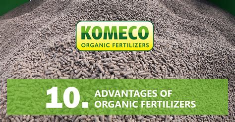 10 Key Advantages of Organic Fertilizer Pelletizers