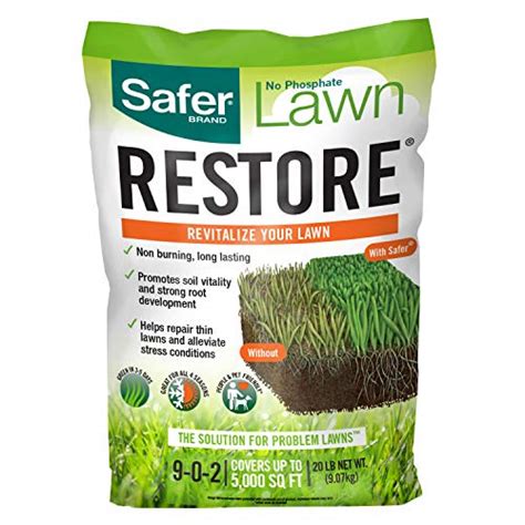 10 Key Considerations for Choosing the Right Starter Lawn Fertilizer