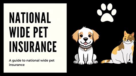 10 Key Facts About Nationwide Pet Insurance