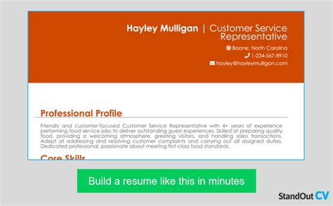 10 Killer Customer Service Resume Summary Examples That'll Get You Noticed