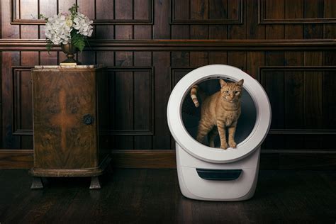 10 Litter-Robot Business Opportunities Exploding by 2025