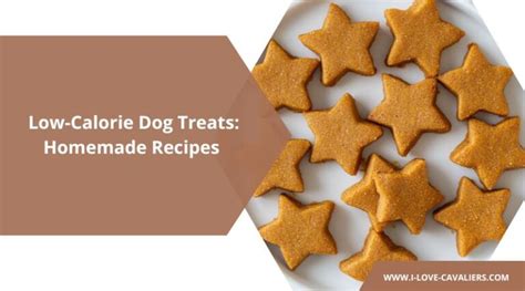 10 Low-Calorie Dog Biscuit Recipes to Keep Your Pup Fit and Trim