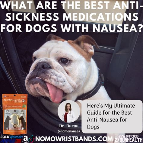 10 Medications for Dog Nausea: A Comprehensive Guide