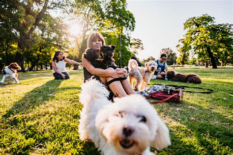 10 Must-Visit Pet-Friendly Parks