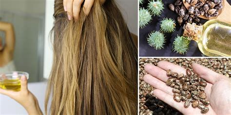 10 Oils That Boost Hair Growth: Unlock the Power of Nature