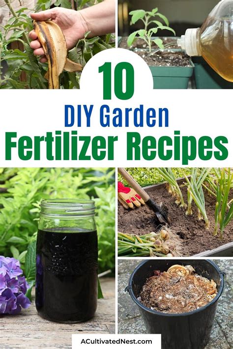 10 Organic Indoor Plant Fertilizer Recipes