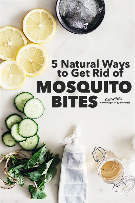 10 Proven Ways to Get Rid of Mosquito Bites on Face Fast in 2025