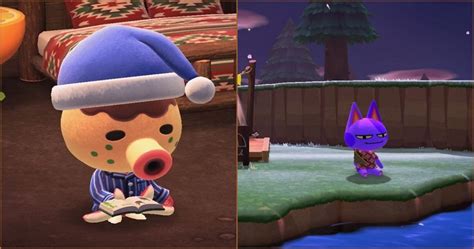 10 Rarest Animal Crossing Villagers to Enhance Your Island Charm