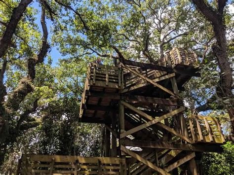 10 Reasons Why Tree Tops Park Davie Matters