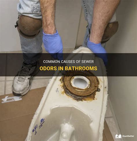 10 Reasons for Sewer Smell in Bathroom: Fix It Right Now!