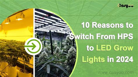 10 Reasons to Switch to Fixture LED Lights