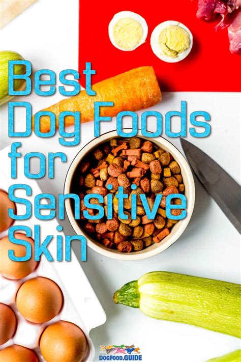 10 Sensational Dog Foods for Sensitive Skins