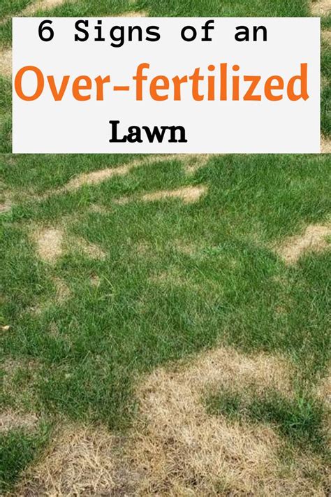 10 Signs Your Yard Is Overfertilized and How to Fix It