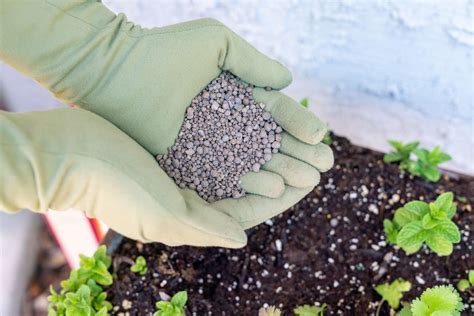 10 Smart Ways to Unleash the Power of Calcium Fertilizer