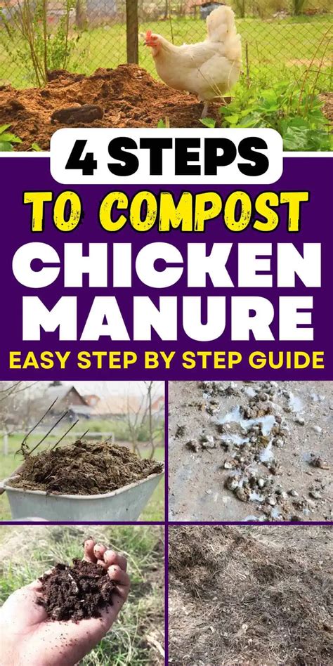 10 Steps to Chicken Waste Composting Success