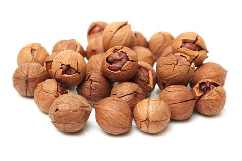 10 Surprising Benefits of Hickory Tree Nuts: Nature's Pocket-Sized Health Boost!