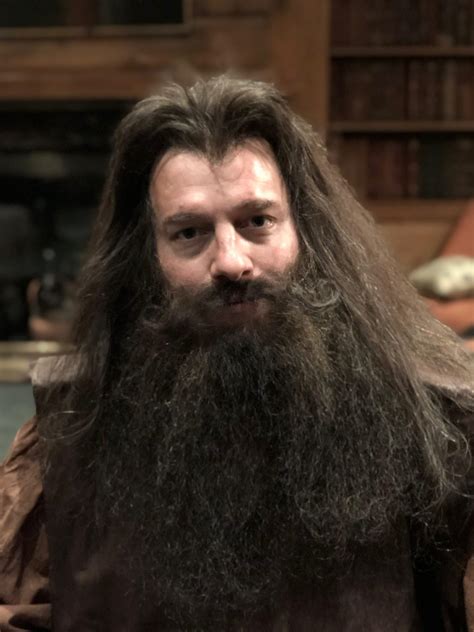 10 Surprising Things You Never Knew About Hagrid's Beard and Wig