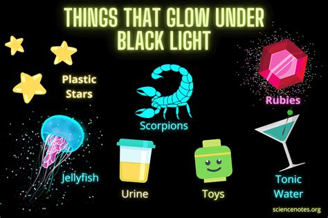 10 Things That Glow Under Black Light