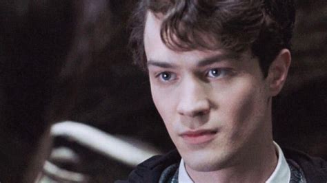 10 Things You Must Know About Matteo From Harry Potter