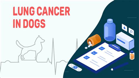 10 Things You Need to Know About Lung Tumors in Dogs