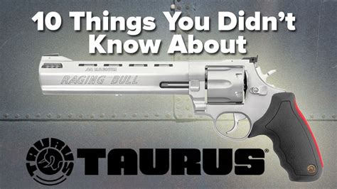 10 Things you didn't know about Tauros Cattle