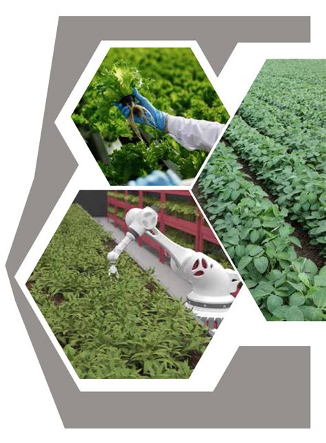 10 Top Bio Fertilizer Manufacturers Shaping the Sustainable Agriculture Landscape