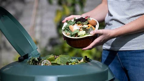 10 Turning Strategies for Enhanced Composting