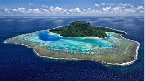 10 Ultimate Plans to Be Rescued on a Remote Island