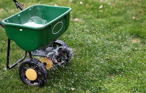 10 Unbelievable Tricks to Banish Crabgrass with Fertilizer