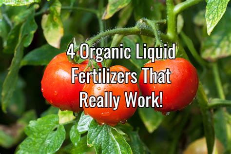 10 Ways to Supercharge Your Garden with Organic Liquid Fertilizer