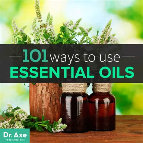 10 Ways to Use 3 Different Base Oils for Essential Oils Like a Pro