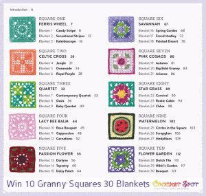 10 granny squares 30 blankets Kindle Editon