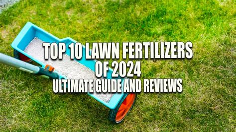 10-10-10: The Ultimate Guide to Lawn Fertilizer Numbers